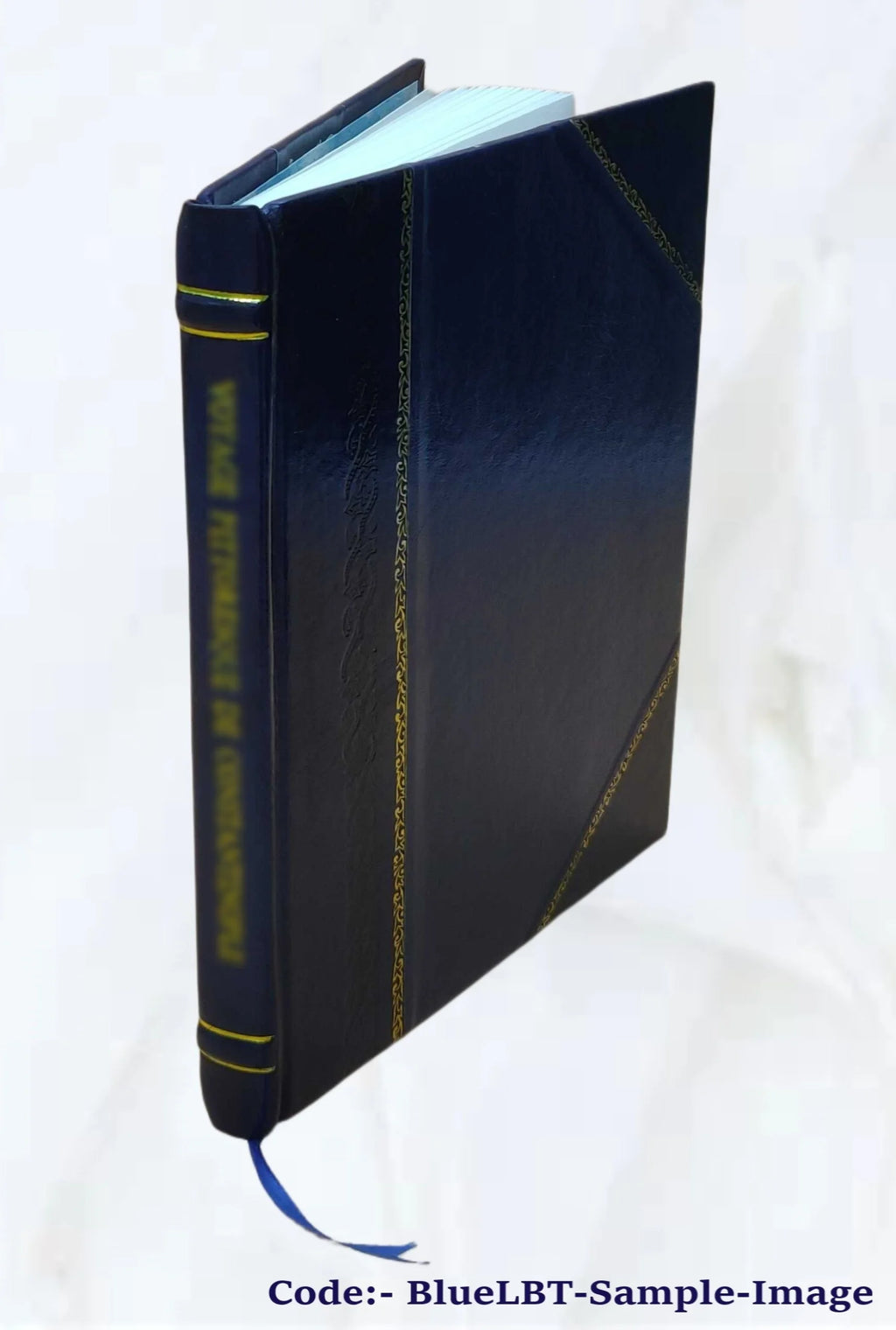New Haven City Directory I2819