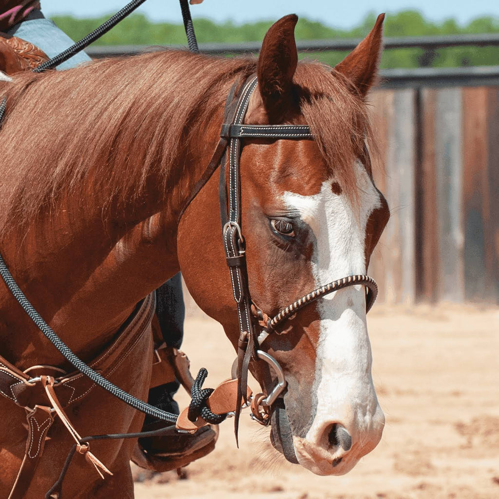 Chocolate Single Rope Noseband Z5920