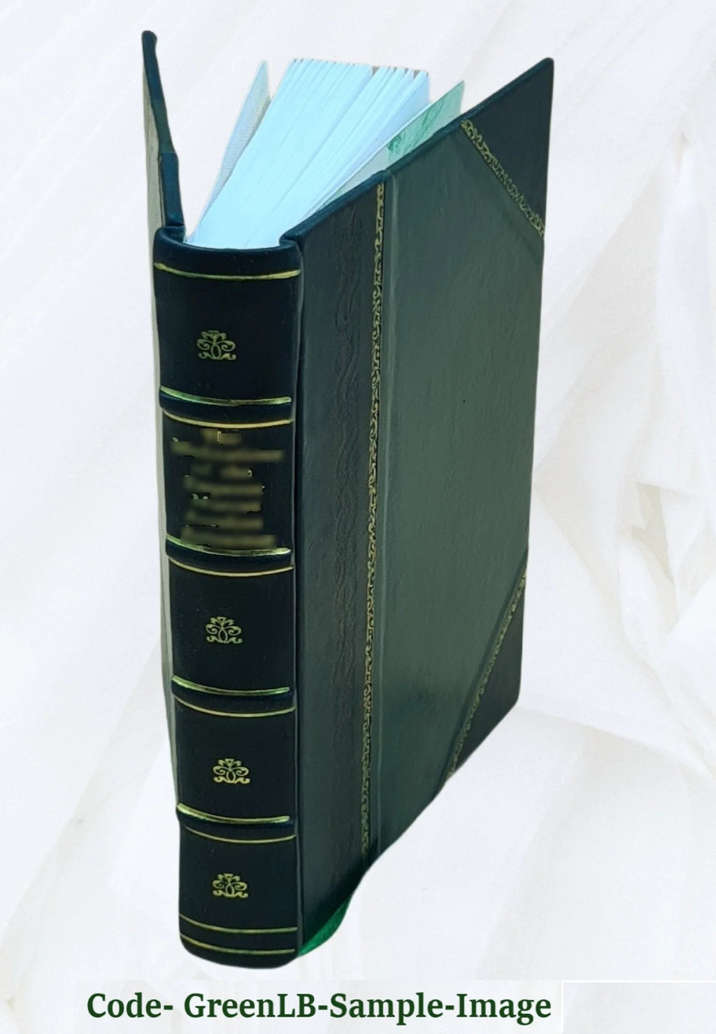 Leather Bound Book Q4712