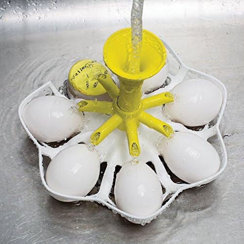 White/Yellow Egg Boiler U975