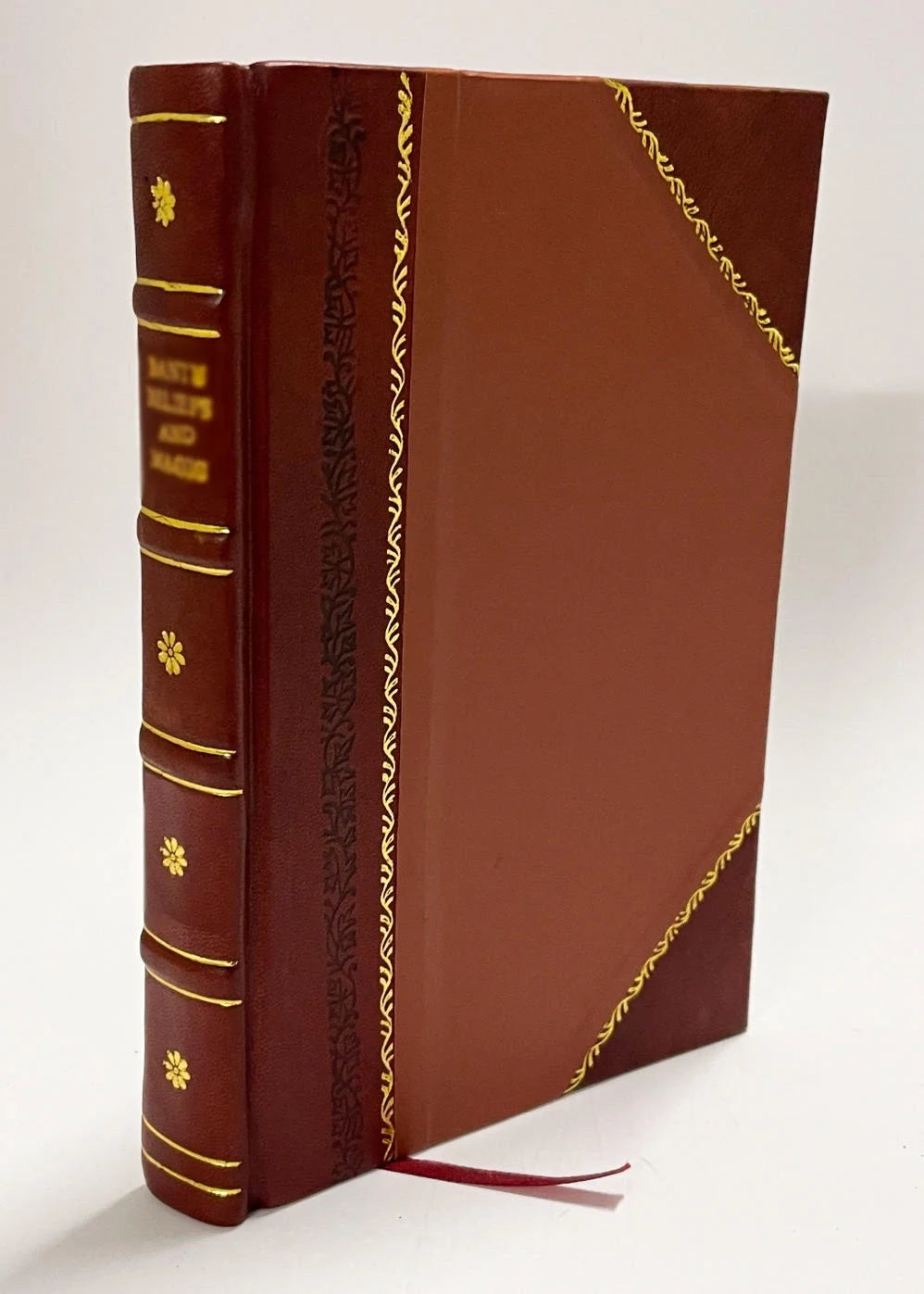 Leather Bound Book V4316