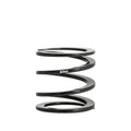Linear Tender Spring V9340