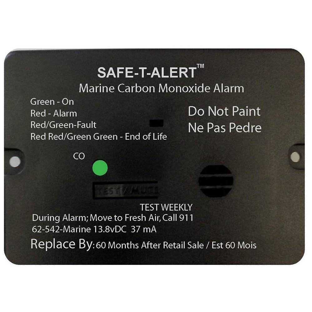 White Flush Mount Carbon Monoxide Alarm G30297