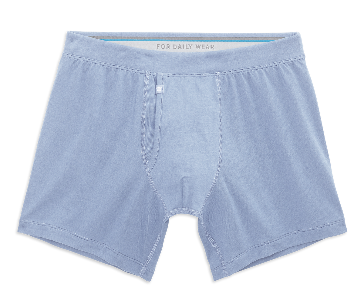 SILVER Boxer Brief