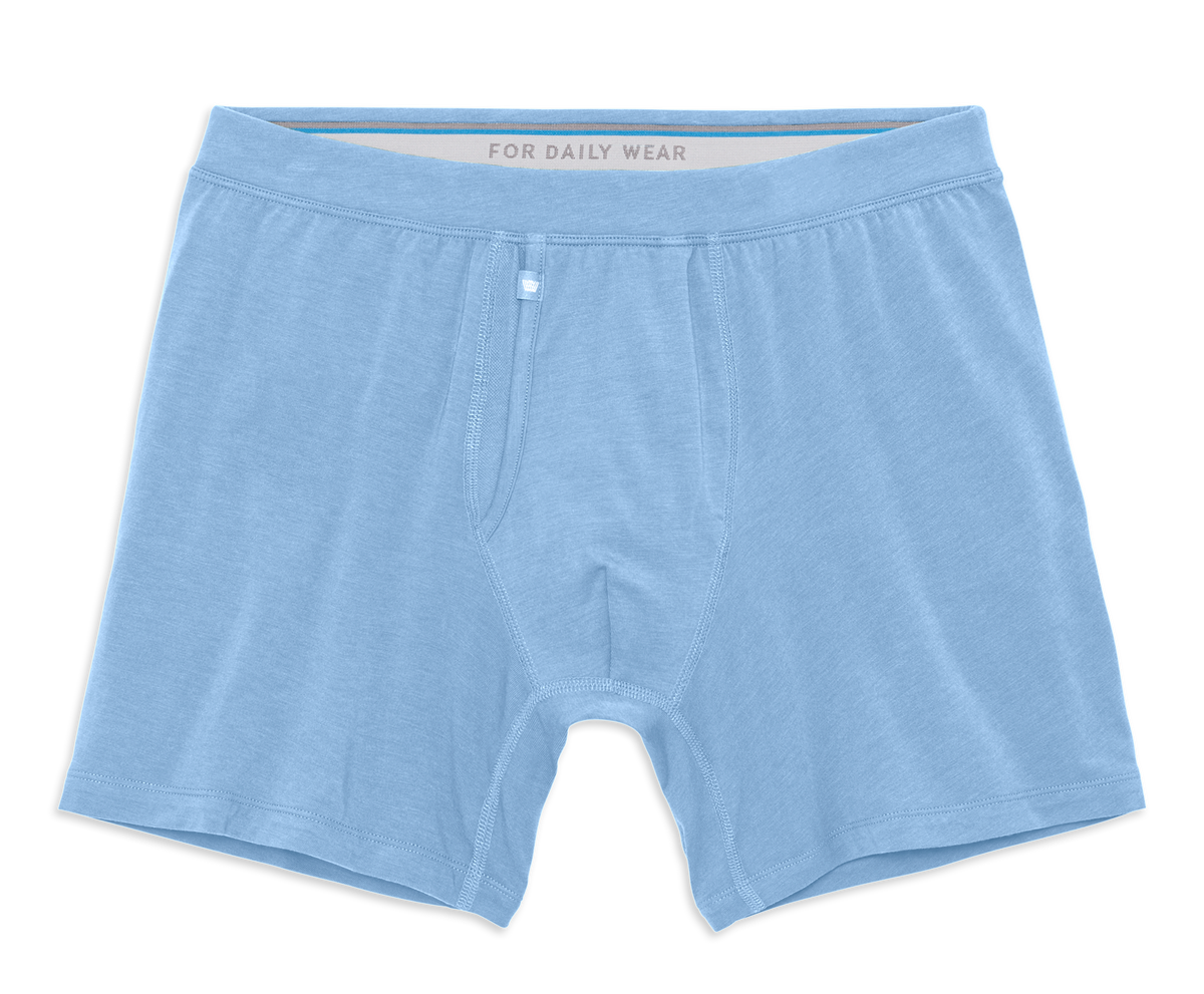 SILVER Boxer Brief