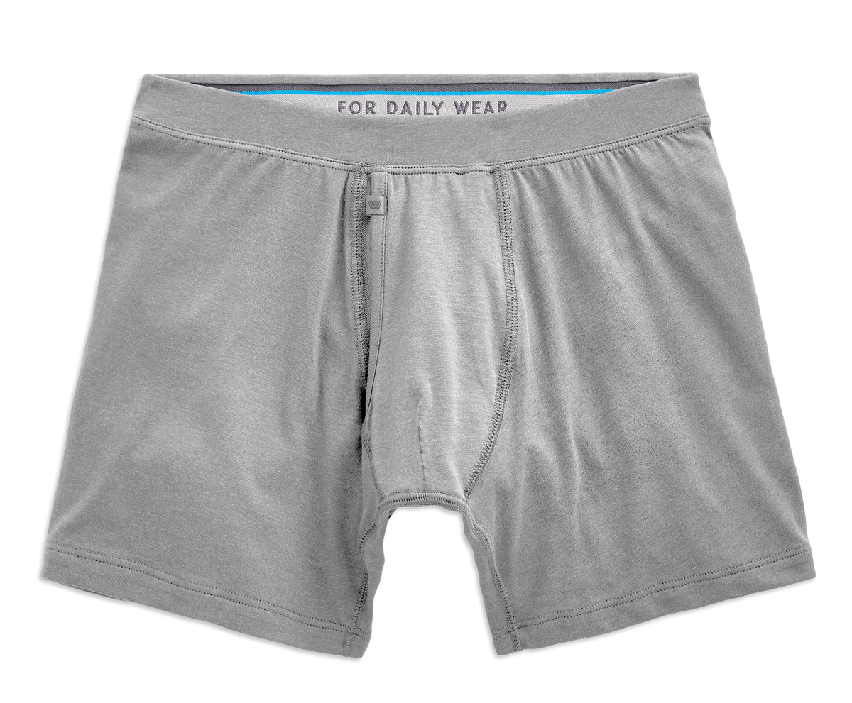 SILVER Boxer Brief