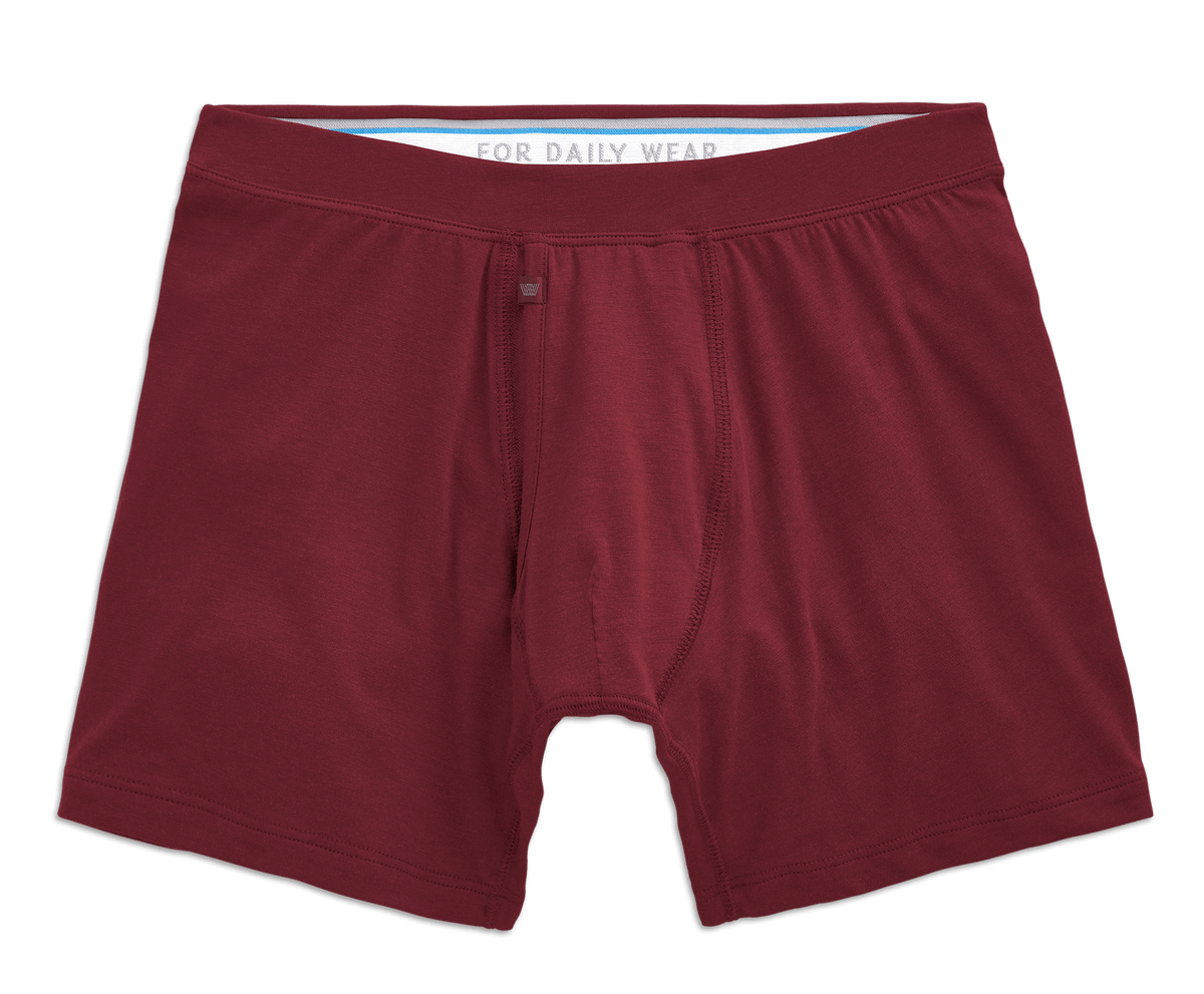 SILVER Boxer Brief