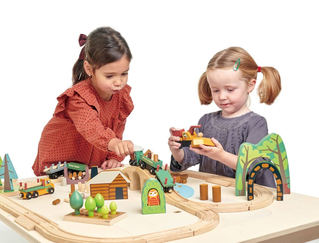 Wild Pines Train Set E7589