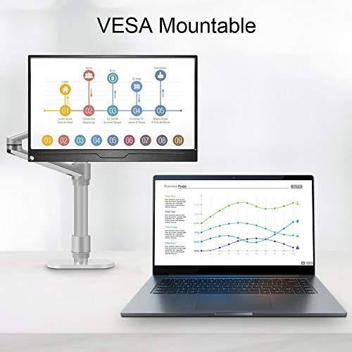 15.6 inch IPS HDR 1920x1080 FHD USB C Gaming Monitor C6168