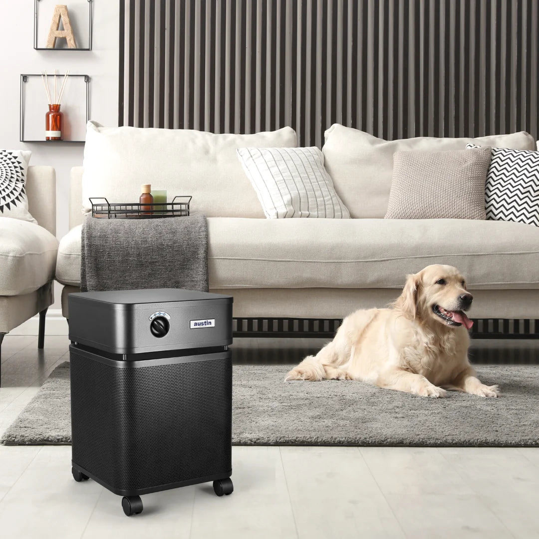 Black Air Purifier with Prefilter V646