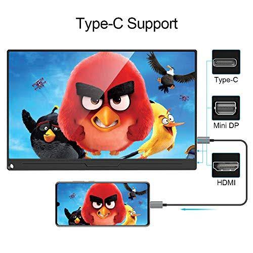 15.6 inch IPS HDR 1920x1080 FHD USB C Gaming Monitor C6168