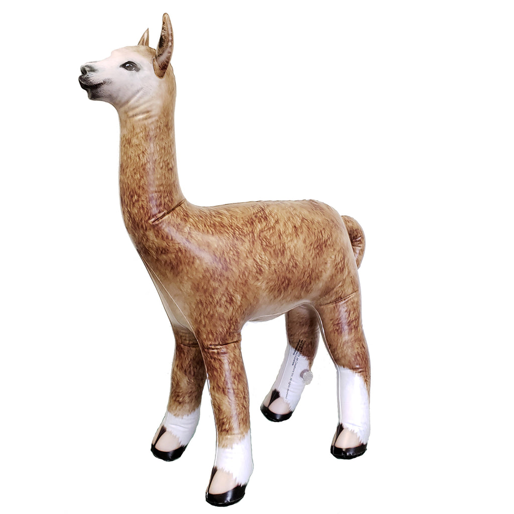 Inflatable Aplaca 30" Tall G98709