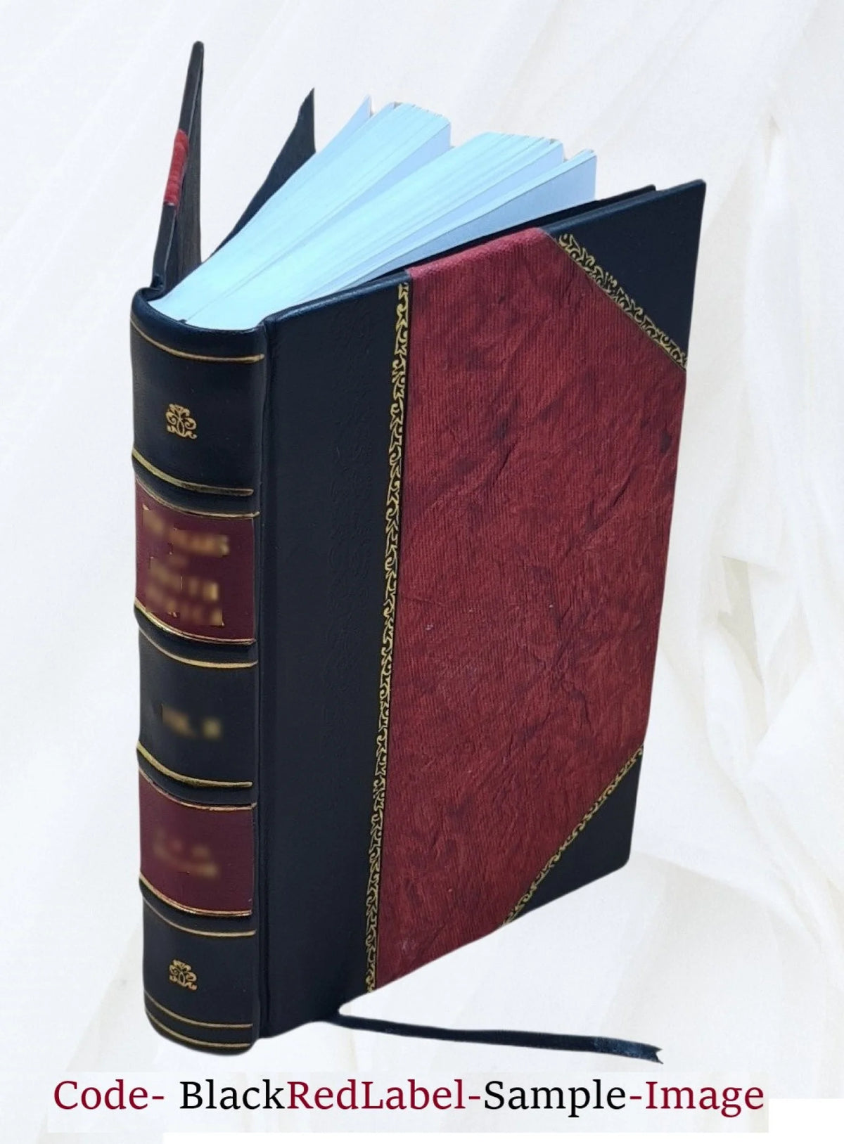 Leather Bound Book Q4712